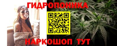 крисы Дубна