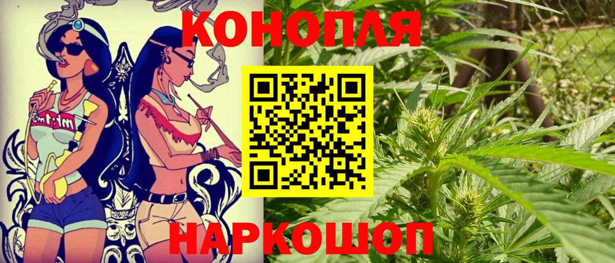 Бошки Шишки VHQ Кубинка